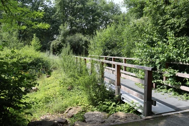 Kurpark Rothenuffeln Holzbrücke im Kurpark Rothenuffeln, umgeben von grüner Vegetation und Bäumen an einem sonnigen Tag.