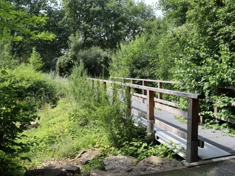 Kurpark Rothenuffeln Holzbrücke im Kurpark Rothenuffeln, umgeben von grüner Vegetation und Bäumen an einem sonnigen Tag.