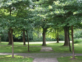 Kurpark Rothenuffeln Grüne Wiesen mit großen Bäumen bieten Ruhe und Erholung im Kurpark Rothenuffeln.