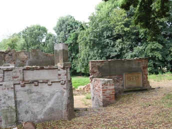 Ellerburg Ruine der Ellerburg mit stark Ă¼berwachsenen Mauerresten, umgeben von dichten Bäumen und Gras.