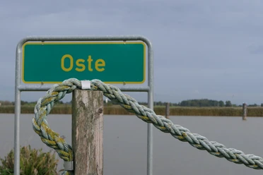 Oste