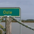 Oste