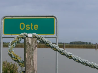 Oste