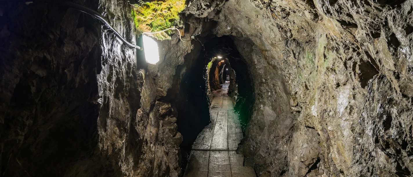 Foto: Michaela Hundertmark, Michael Mehle Foto: Michaela Hundertmark, Michael Mehle