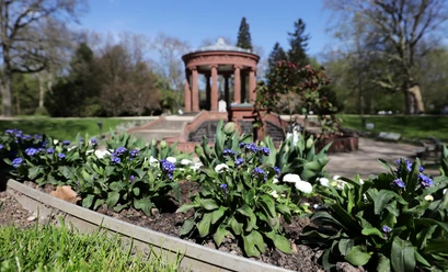 Brunnenallee im Kurpark Bad Homburg - Kurpark Brunnenallee Frühling