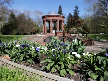 Brunnenallee im Kurpark Bad Homburg - Kurpark Brunnenallee Frühling
