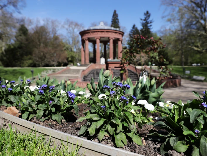 Brunnenallee im Kurpark Bad Homburg - Kurpark Brunnenallee Frühling