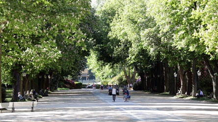 048HR - Bad Homburg - Kurpark Brunnenallee.JPG