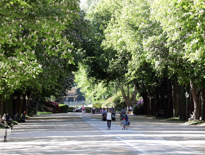 048HR - Bad Homburg - Kurpark Brunnenallee.JPG