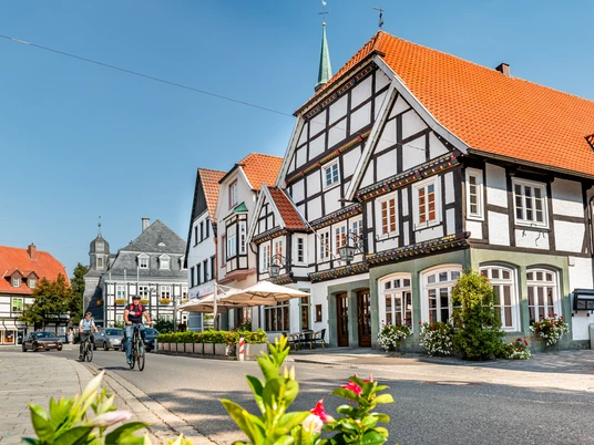 Historische Fachwerkhäuser in einer malerischen Stadtstraße, umgeben von blauen Himmel und Blüten.