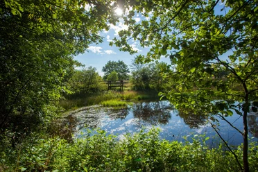 haverbeeke-foto©florian-busch.jpg