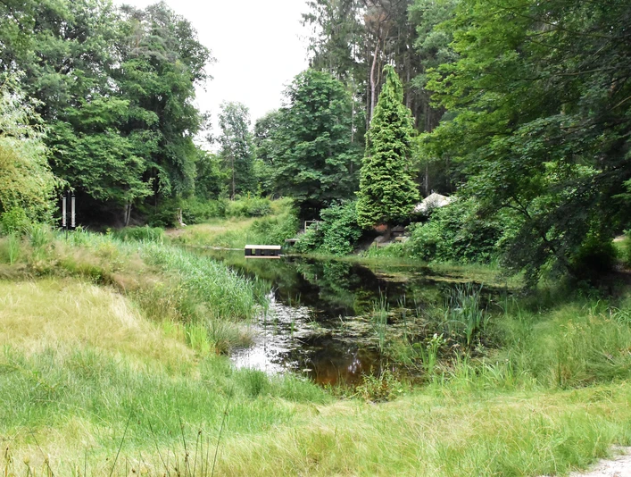 Jeddeloher_Busch 2.jpg