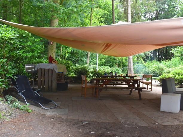 Jeddeloher_Busch 4.JPG