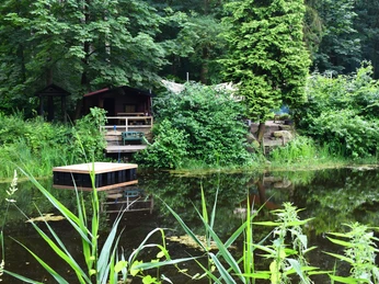 Jeddeloher_Busch 3.JPG