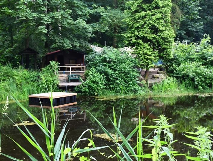 Jeddeloher_Busch 3.JPG