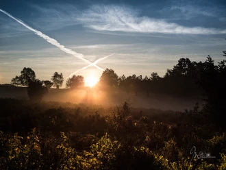 misselhorner-heide-foto©madeline-pagenkemper.jpg