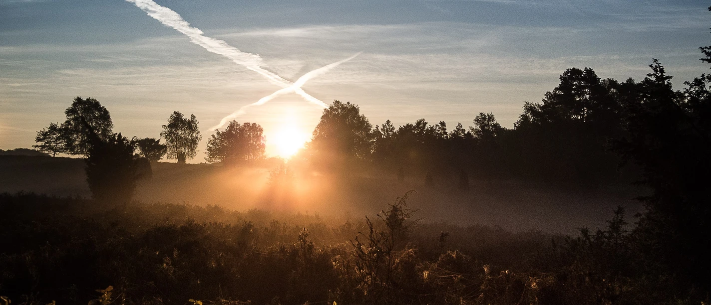 misselhorner-heide-foto©madeline-pagenkemper.jpg
