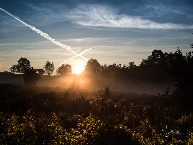 misselhorner-heide-foto©madeline-pagenkemper.jpg