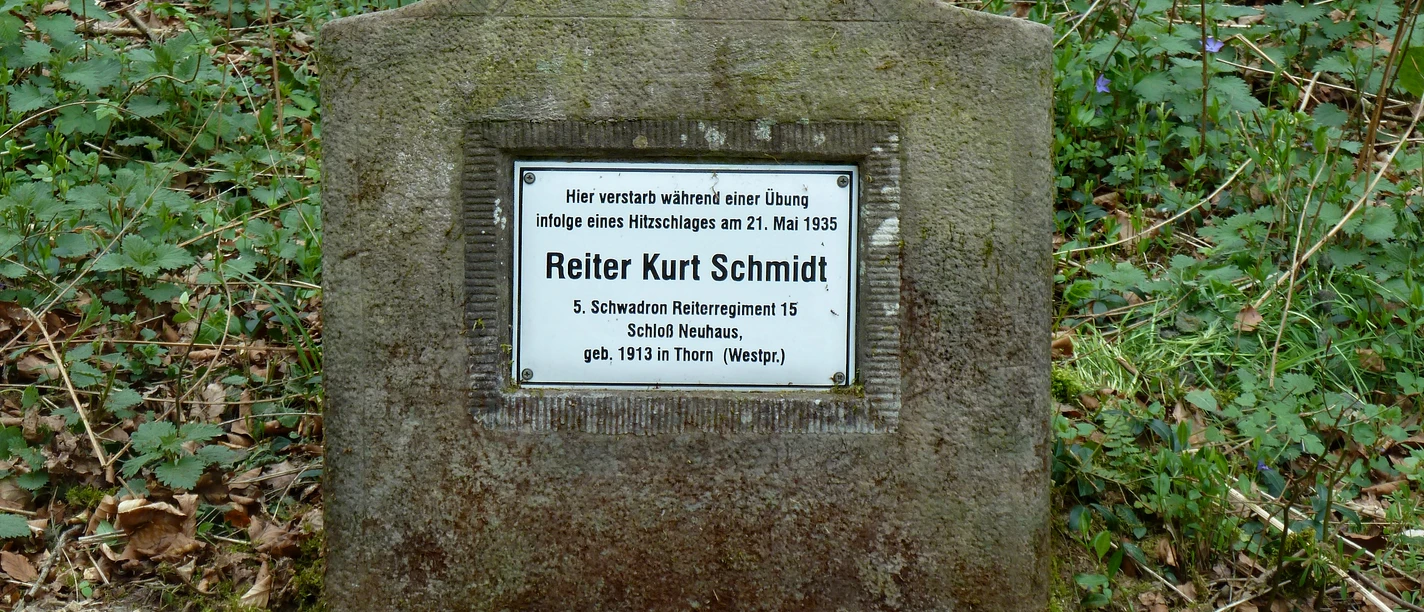 Denkmal für Reiter Kurt Schmidt Gedenkstein für Reiter Kurt Schmidt, umgeben von Laub und Grün, in Waldnähe platziert.