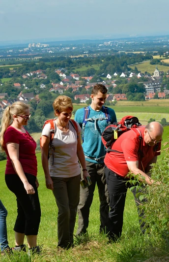 Aussichtspunkt Papenberg Eine Gruppe wandert auf einem grünen Hügel mit Fernblick auf eine Kleinstadt und bewaldete Gebiete.
