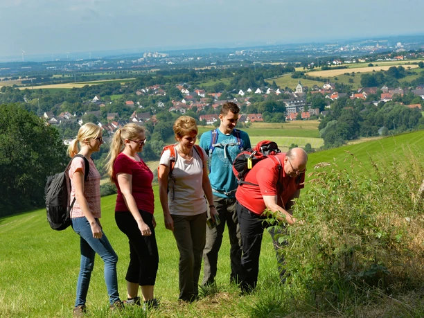 Aussichtspunkt Papenberg Eine Gruppe wandert auf einem grĂĽnen HĂĽgel mit Fernblick auf eine Kleinstadt und bewaldete Gebiete.