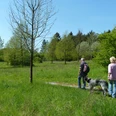 Arboretum Paderborn Zwei Personen und ein Hund spazieren auf einem Pfad durch eine grüne Wiesenlandschaft mit jungen Bäumen.