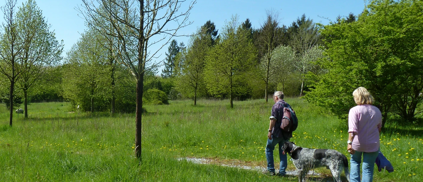 Arboretum Paderborn Zwei Personen und ein Hund spazieren auf einem Pfad durch eine grüne Wiesenlandschaft mit jungen Bäumen.