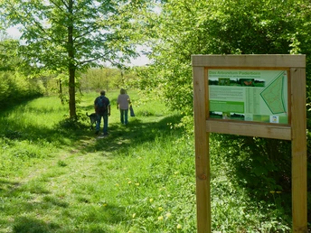 Arboretum Paderborn Zwei Personen spazieren mit einem Hund auf einem grünen Pfad im Arboretum Paderborn.