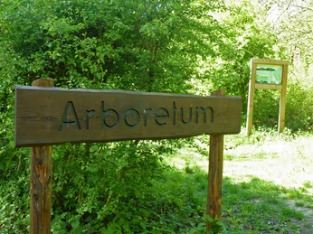 Holzschild mit Aufschrift "Arboretum" vor üppiger grüner Vegetation und Schautafel im Hintergrund.