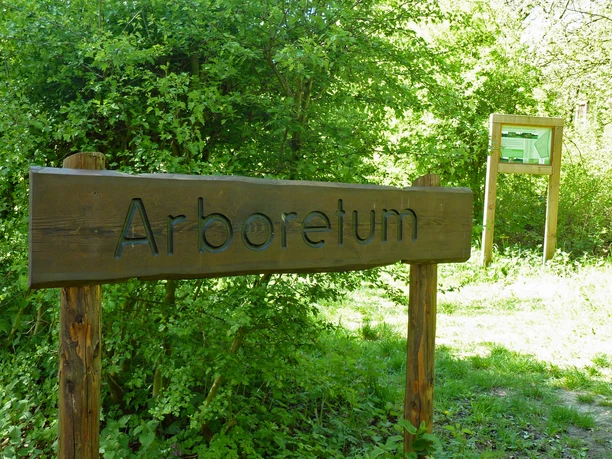 Holzschild mit Aufschrift "Arboretum" vor üppiger grüner Vegetation und Schautafel im Hintergrund.