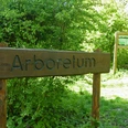 Arboretum Paderborn Holzschild mit Aufschrift "Arboretum" vor üppiger grüner Vegetation und Schautafel im Hintergrund.