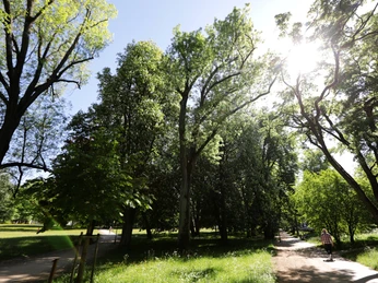001HR - Bad Homburg - Kurpark.JPG