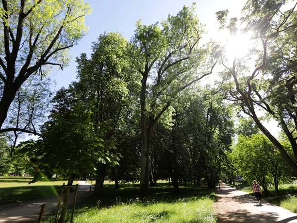 001HR - Bad Homburg - Kurpark.JPG