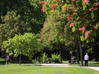 011HR - Bad Homburg - Kurpark .JPG