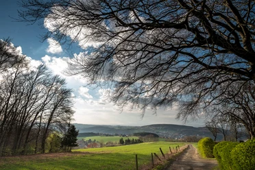 Ein schöner Blick in die Natur auf dem Lehrpfad Bonstapel Weite Landschaft mit sanften Hügeln und Feldern, ein Pfad führt unter einem Baum ins Tal.