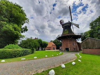 Das_MuseumMoorseerMuehle.jpg