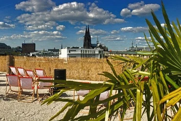 SonnenscheinEtage Eine sonnige Dachterrasse mit Liegestühlen, Palmen und weitem Blick auf Kölns Dom vor blauem Himmel.