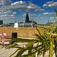 SonnenscheinEtage Eine sonnige Dachterrasse mit Liegestühlen, Palmen und weitem Blick auf Kölns Dom vor blauem Himmel.A sunny roof terrace with sun loungers, palm trees and a sweeping view of Cologne Cathedral against a blue sky.