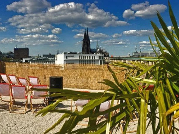 SonnenscheinEtage A sunny roof terrace with sun loungers, palm trees and a sweeping view of Cologne Cathedral against a blue sky.