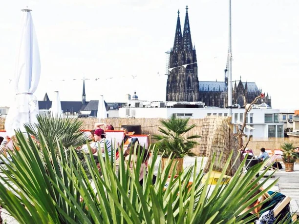 SonnenscheinEtage The picture shows a roof terrace in Cologne with palm trees, sun loungers and Cologne Cathedral in the background.