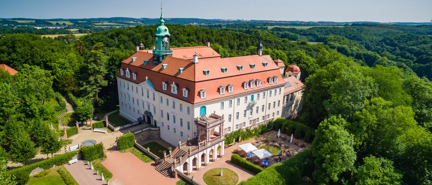 Schloss und Park Lichtenwalde von oben
