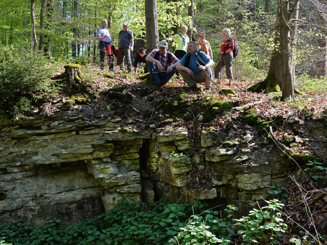 Eine Gruppe Wanderer auf einem bewaldeten Felsenrand, umgeben von üppigem Grün im Merschetal.