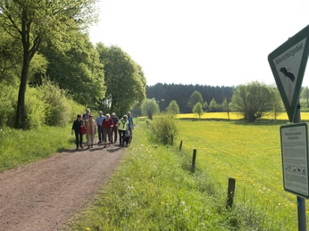 Eine Gruppe von Wanderern spaziert auf einem Naturweg im Ellerbachtal, umgeben von blühenden Wiesen.