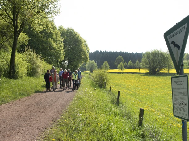 Eine Gruppe von Wanderern spaziert auf einem Naturweg im Ellerbachtal, umgeben von blühenden Wiesen.