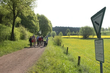 Ellerbachtal bei Paderborn-Dahl Eine Gruppe von Wanderern spaziert auf einem Naturweg im Ellerbachtal, umgeben von blühenden Wiesen.