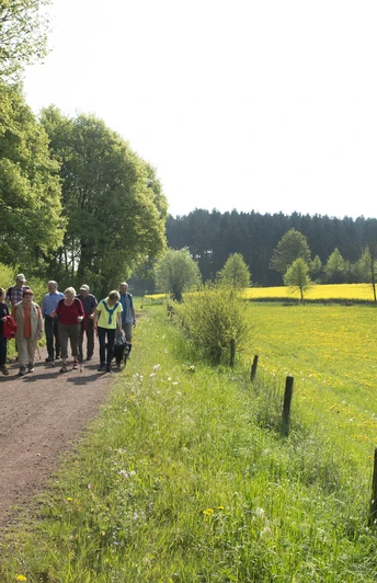 Ellerbachtal bei Paderborn-Dahl Eine Gruppe von Wanderern spaziert auf einem Naturweg im Ellerbachtal, umgeben von blühenden Wiesen.