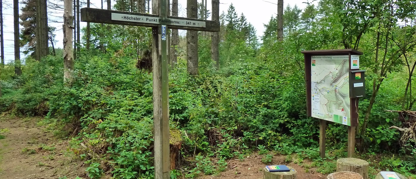 Gipfelkreuz auf bewaldetem Hügel nahe Paderborn, Wanderwegweiser und Infotafel inmitten von Bäumen.