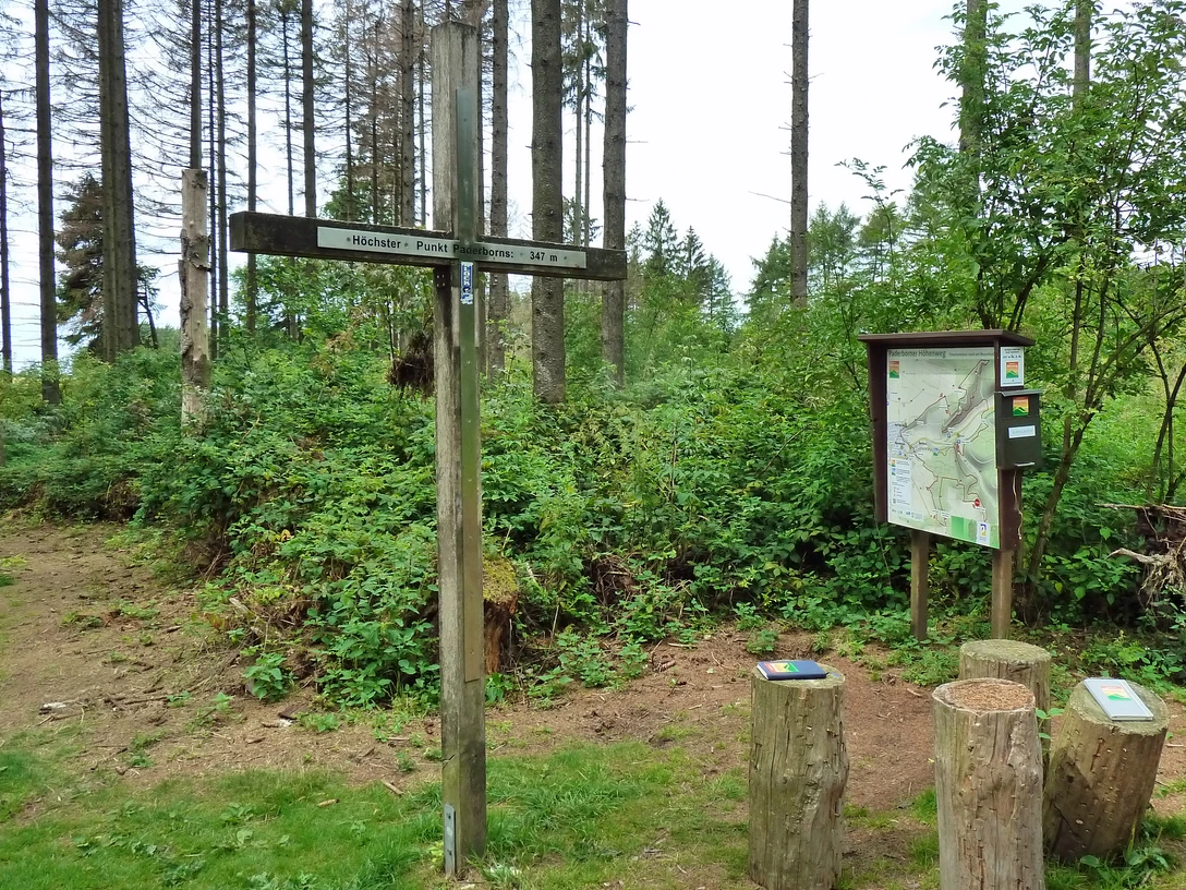 Gipfelkreuz am Höchsten Punkt Paderborns Gipfelkreuz auf bewaldetem Hügel nahe Paderborn, Wanderwegweiser und Infotafel inmitten von Bäumen.