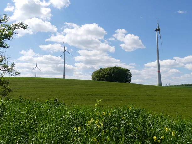 Drei Windräder auf grünen Feldern unter blauem Himmel mit vereinzelten Wolken, Bäume im Hintergrund.