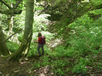 Erdfall "Spielmanns Kuhle" Wanderer erkundet grünen Wald nahe der Erdfall "Spielmanns Kuhle" in sonnendurchfluteter Umgebung.